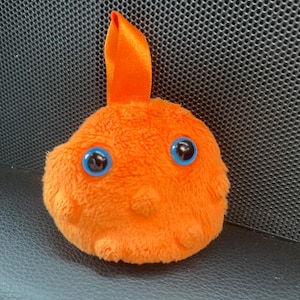 Amelia added a photo of their purchase