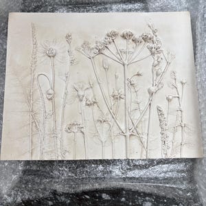 Pamela added a photo of their purchase