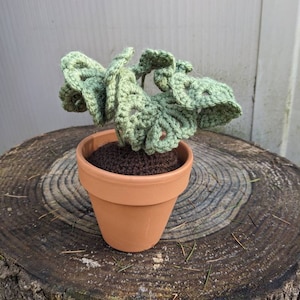 Sierra added a photo of their purchase
