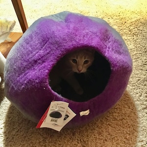 Jill added a photo of their purchase