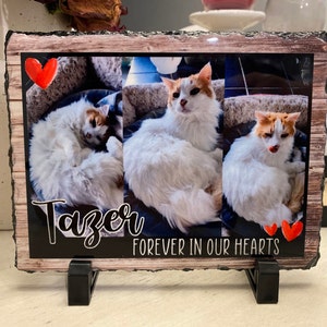 Kirstyn added a photo of their purchase