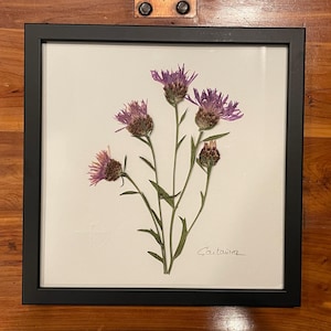 Dan ha añadido una foto de su compra