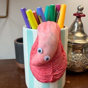 Chloe added a photo of their purchase