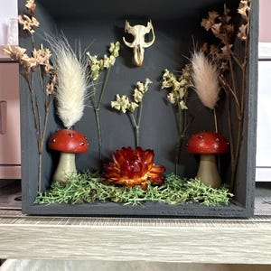 Jenniferr さんが購入した商品の写真を追加しました