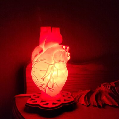 Human Heart 3D Printed Accent Lamp, Anatomical, Table Lamp, Novelty