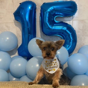 Mochi added a photo of their purchase