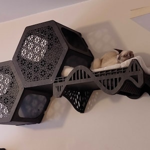 Dina ha añadido una foto de su compra