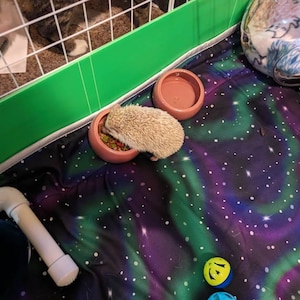 Lilly hat ein Foto des gekauften Artikels hinzugefügt