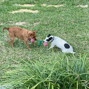 Etsy-koper heeft een foto van zijn/haar aankoop toegevoegd