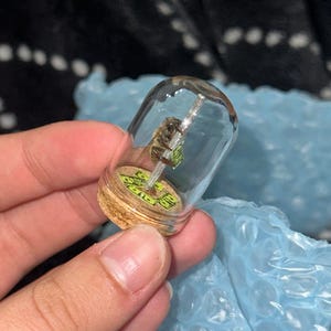 Stephanie added a photo of their purchase