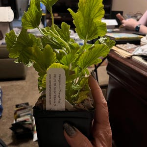 christi added a photo of their purchase