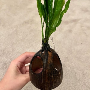 Ari added a photo of their purchase