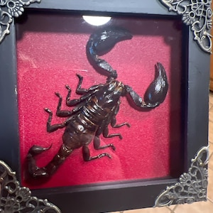 Crystal added a photo of their purchase