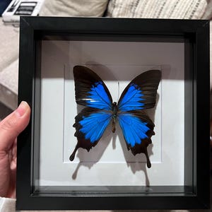 Livier ha añadido una foto de su compra