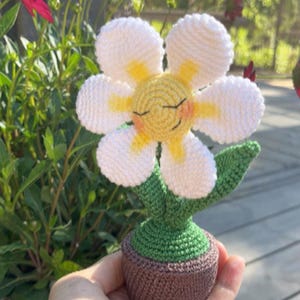 植木鉢のかぎ針編みの花 pdf かぎ針編みパターン (ENG) - Etsy 日本
