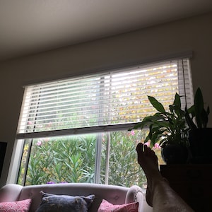 Leela added a photo of their purchase
