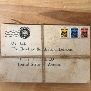 Personalized Acceptance Letter, School of Witchcraft and Wizardry, Train Ticket, Print Wand Registration, Wax Seal, Stamp, Wizard Birthday,
