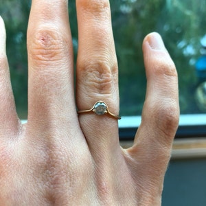 Ellen Wessel added a photo of their purchase