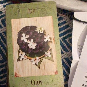 Alanna added a photo of their purchase