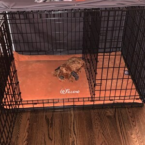 Kevin added a photo of their purchase