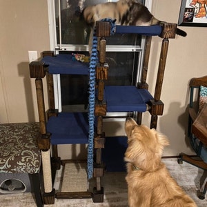 Amanda added a photo of their purchase