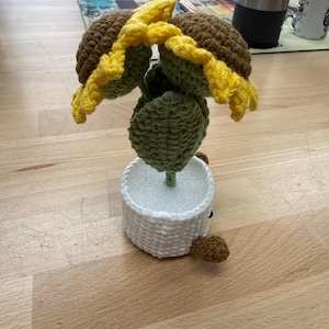 Asheena added a photo of their purchase