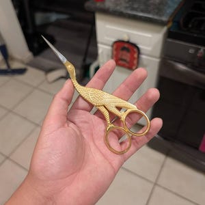 Carlos added a photo of their purchase