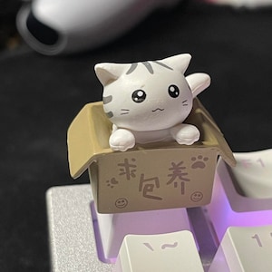 Hani added a photo of their purchase