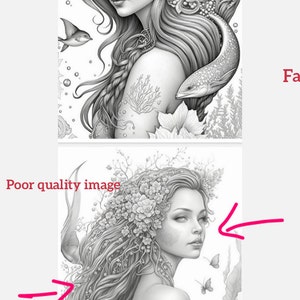 Emily さんが購入した商品の写真を追加しました