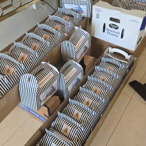 Nessy ha añadido una foto de su compra