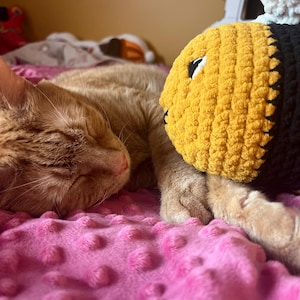 Amanda ha aggiunto una foto del proprio acquisto