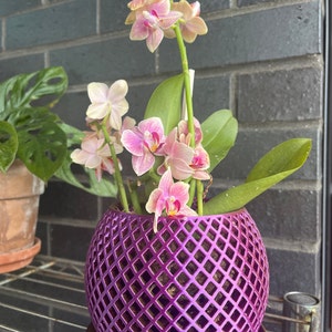 Katie added a photo of their purchase