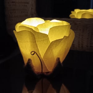 Neysa added a photo of their purchase