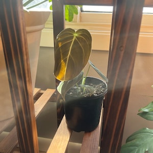 Chris a ajouté une photo de son achat