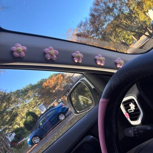 Anna added a photo of their purchase