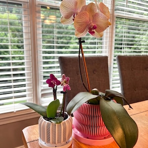 Ashley added a photo of their purchase