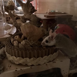 Extra added a photo of their purchase