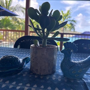 Brooke added a photo of their purchase
