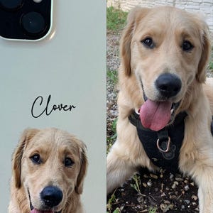 Fiona ha aggiunto una foto del proprio acquisto