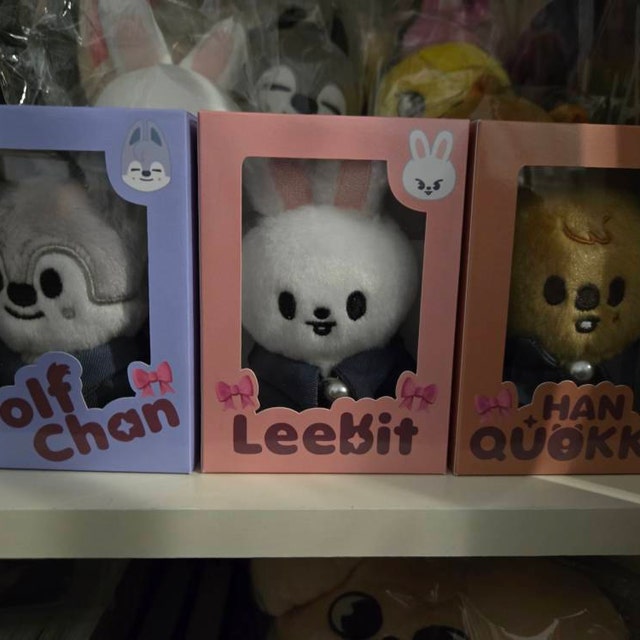 Box Only. Stray Kids SKZOO Box 10cm Plush Fanmade BOX [BOX