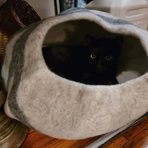 Alfred added a photo of their purchase