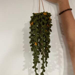 Isabella added a photo of their purchase