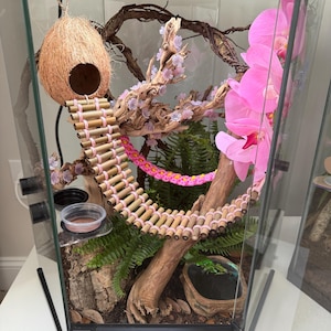 Ashley added a photo of their purchase