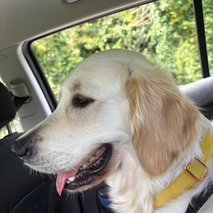 Sophie ha aggiunto una foto del proprio acquisto