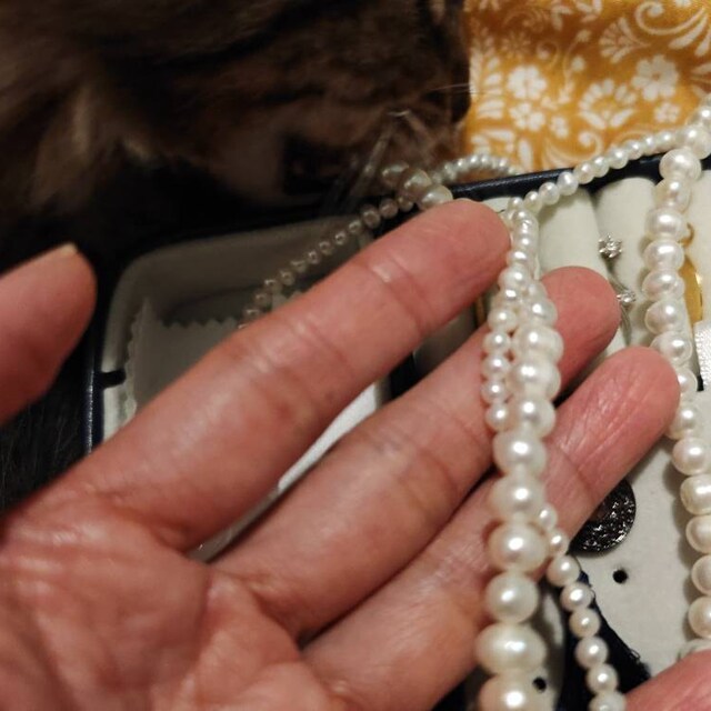 ブレスレット LESS IS MORE 3mm pearl necklace MILLIE 3-4mm Small Round Pearl Necklace for Women, Real