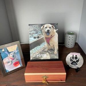 Kelsey added a photo of their purchase
