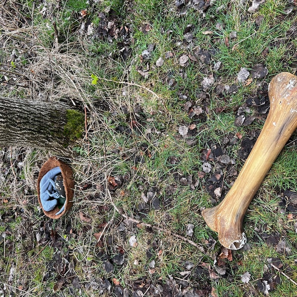 Sleeping Baby Velociraptor Art - Dinosaur - 3D Printed - Multiple ...