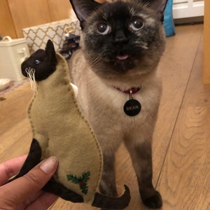 Coral added a photo of their purchase
