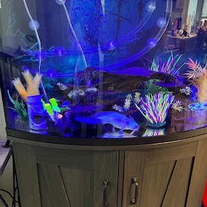 Decorazione Per Acquario A Forma Di Relitto 47x18x9,5 Cm - Corazzata In Resina Atossica Con Fori Per Nascondiglio Pesci E Gamberetti, Base Stabile E Colori Vivaci