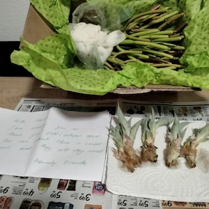 Sharon heeft een foto van de aankoop toegevoegd